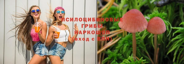 хмурый Белокуриха