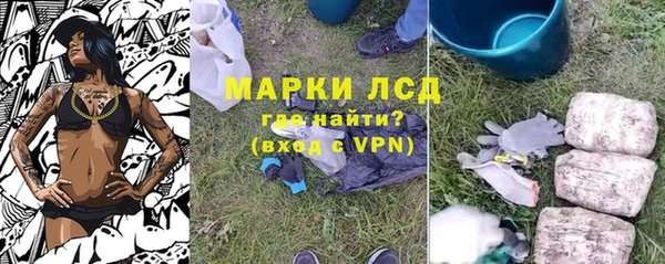 индика Баксан