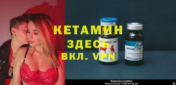 крисы Ельня