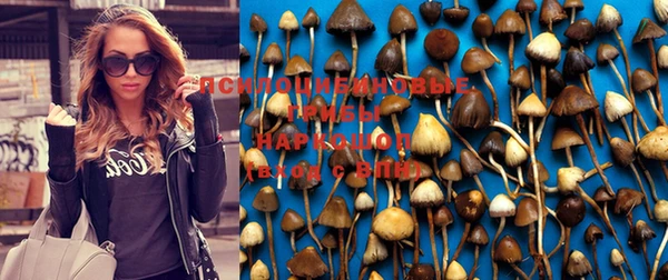прущие крисы Дмитровск