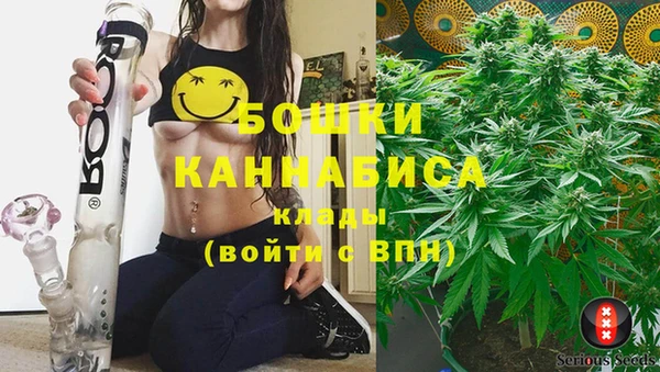 индика Баксан