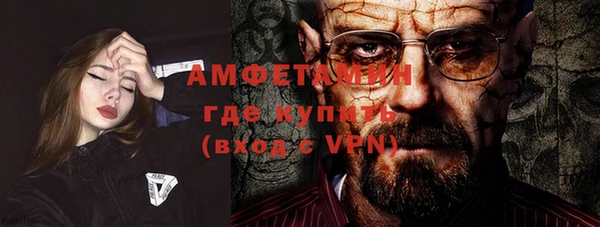 прущие грибы Елизово