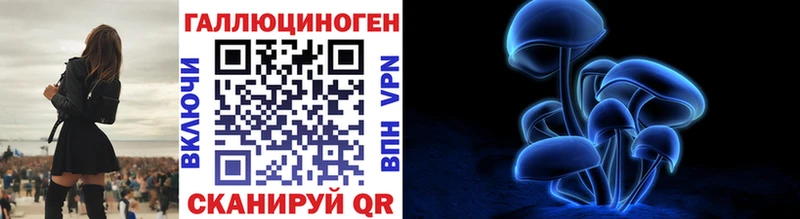 это формула  где купить наркоту  Новоаннинский  Галлюциногенные грибы Cubensis 